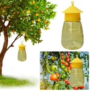 Reusable Fruit Fly Trap
